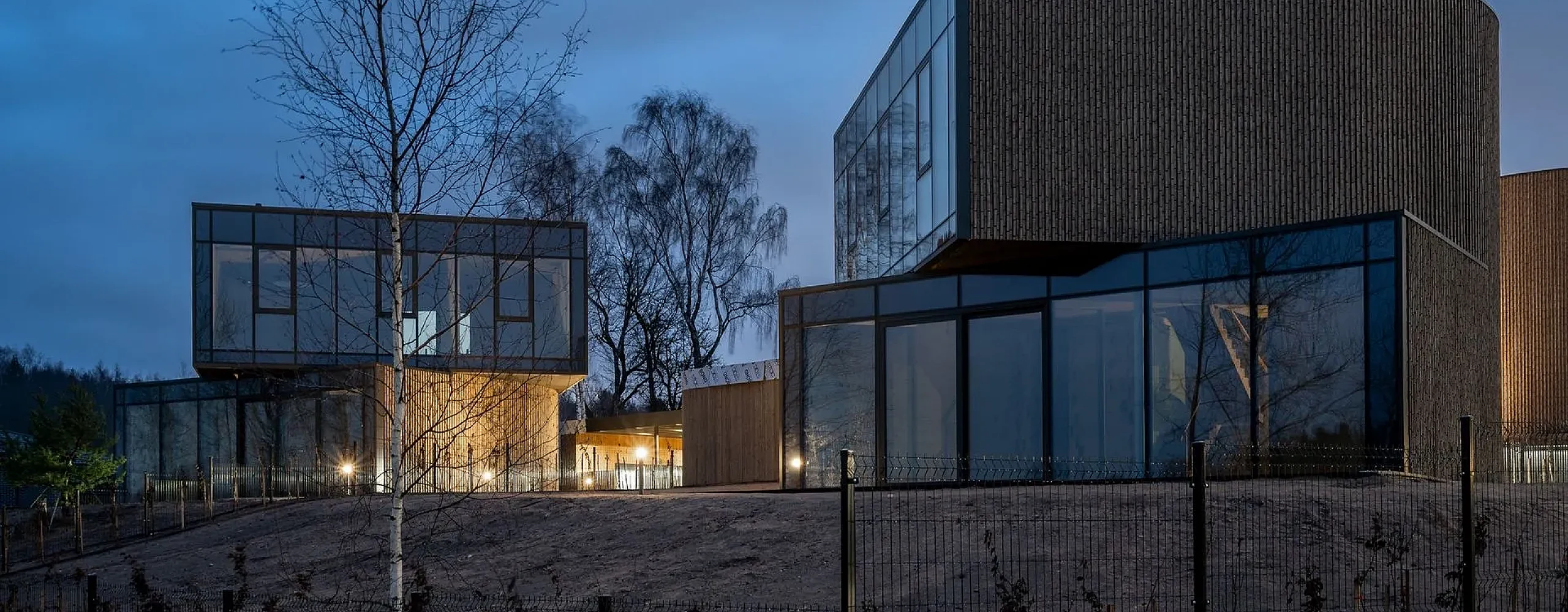 Pagrindinis rangovas